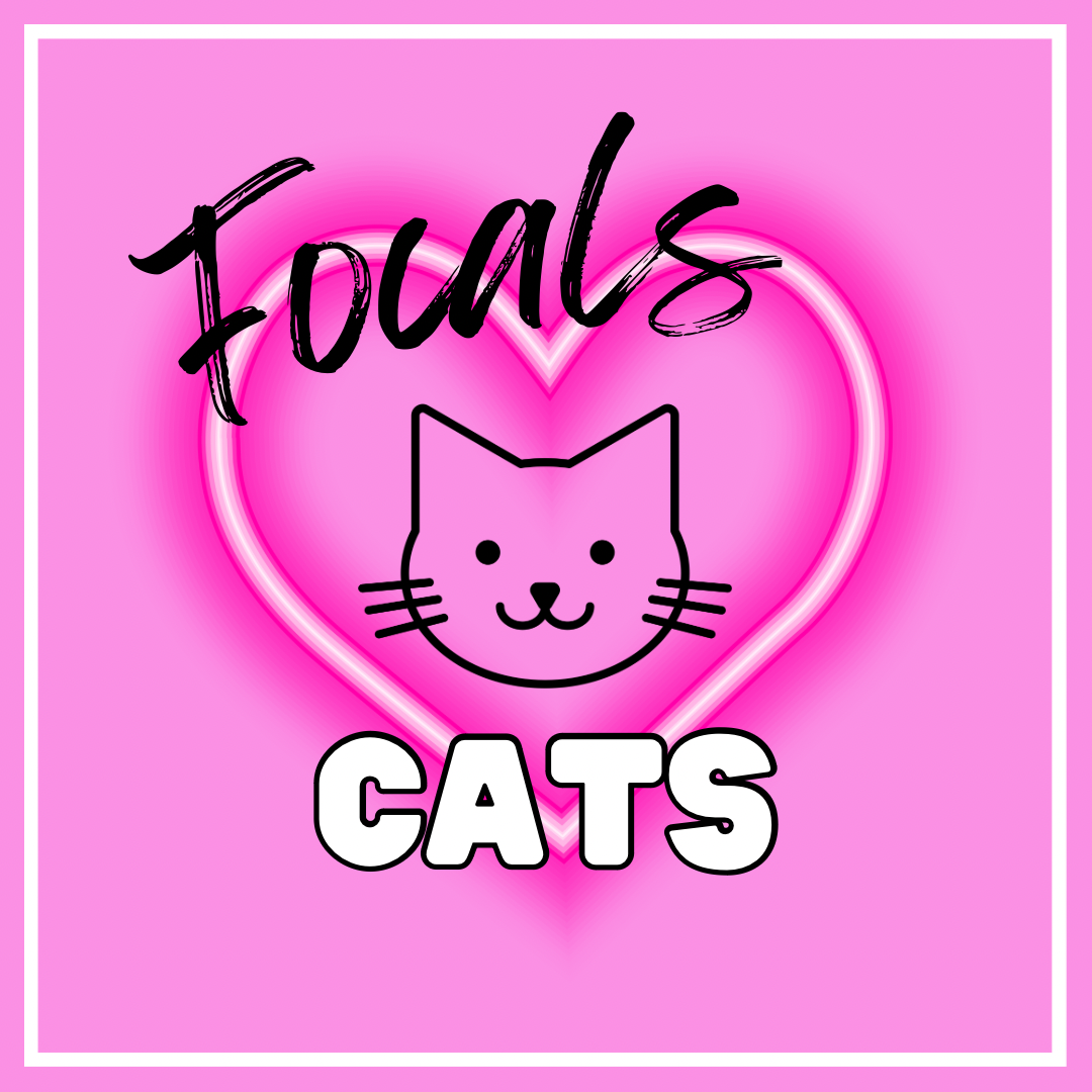 CAT FOCALS