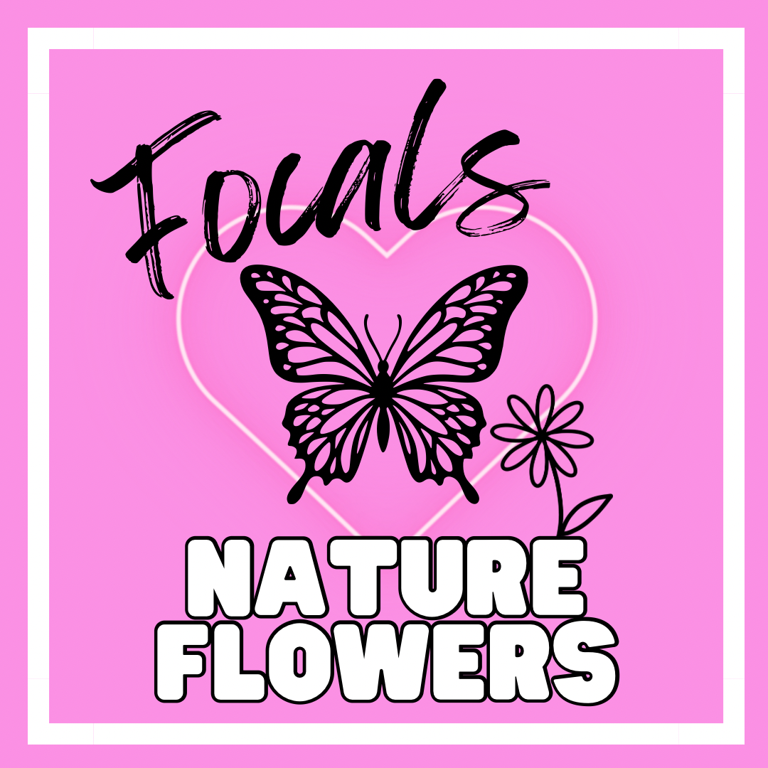 NATURE & FLOWER FOCALS